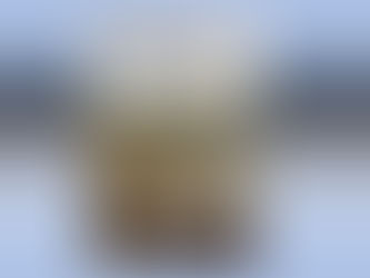 Praise for WEST POINT AT GETTYSBURG