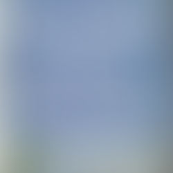 About the Off-Season: Oh My, Oh My, The Yankees Lost Out On Imai