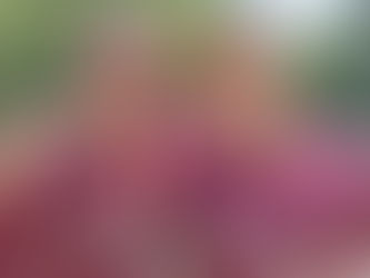 One Last Shot - Season 4, Post 5: Seasons End