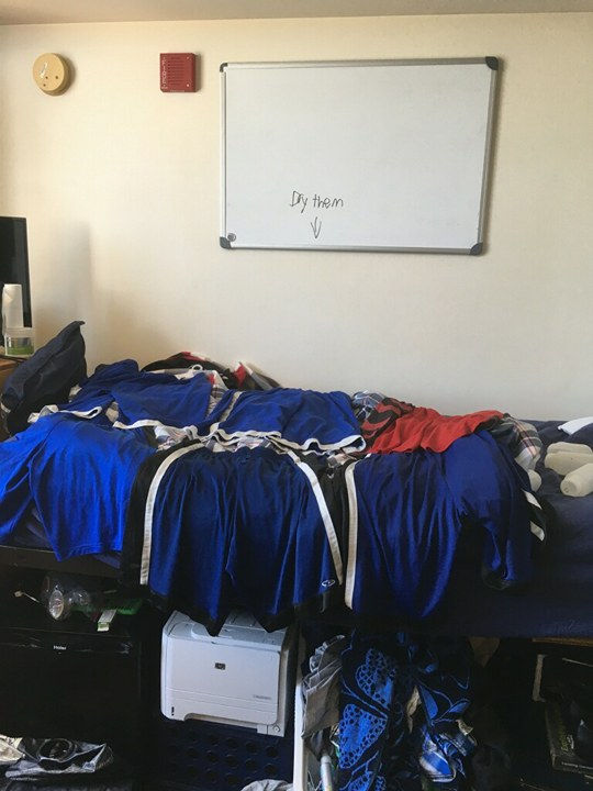shorts.jpg