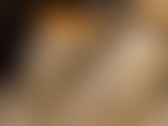 ¿Extraterrestres? Misteriosos fósiles no humanos revelados en el Congreso mexicano