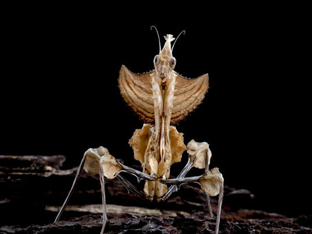 Buscar la vida como no la conocemos