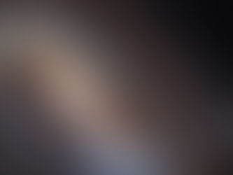 Las “aves” del sur