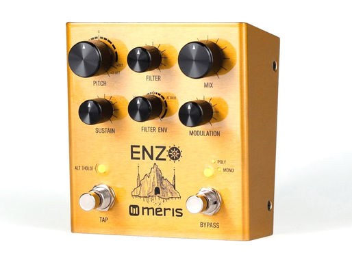 Get Familiar with the Meris Enzo Synth Pedal