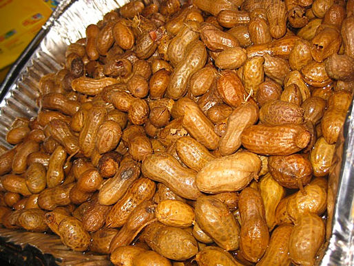 Southern Zen: What Boiled Peanuts Reveal About Cultivating Patience in a Hectic World