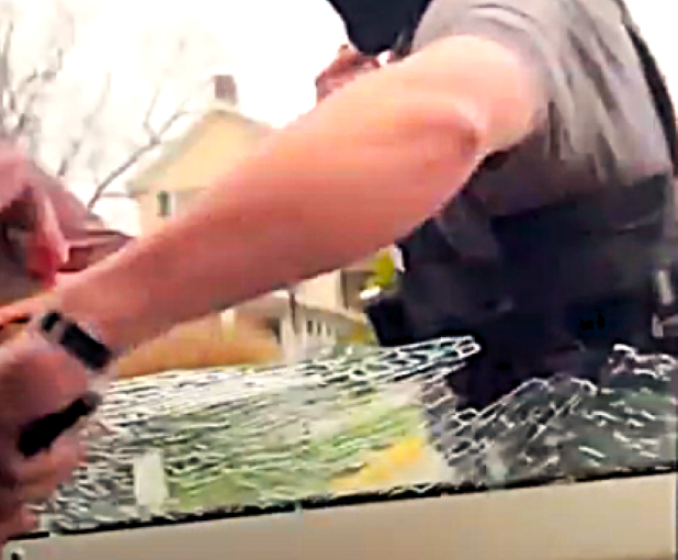 Federal agents smash window of Montclare mother, remove her from car; Creator/YouTube Screenshot