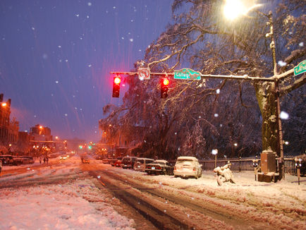 A Half-Inch from Hysteria: Surviving Southern Snow Like a Local Hero