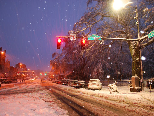 A Half-Inch from Hysteria: Surviving Southern Snow Like a Local Hero