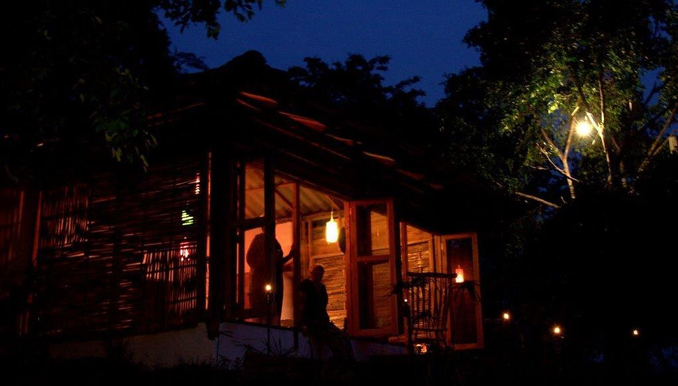 Jungle Home at Night