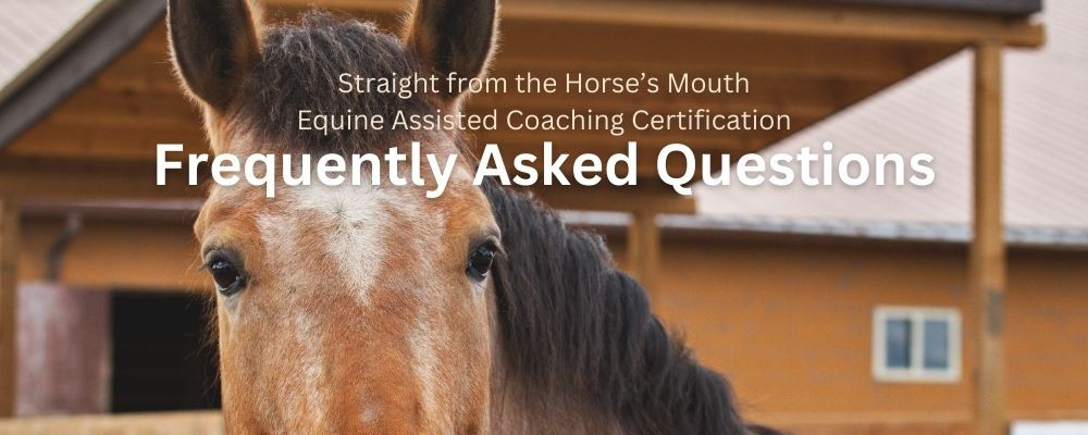 Certification FAQ #39 s The Freedom Way