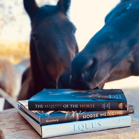 book club horses 1080x1080.png