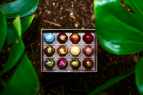 Bon Bons Box of 12 | West Maui Chocolatier