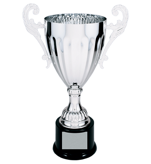 Medium Silver Trophy