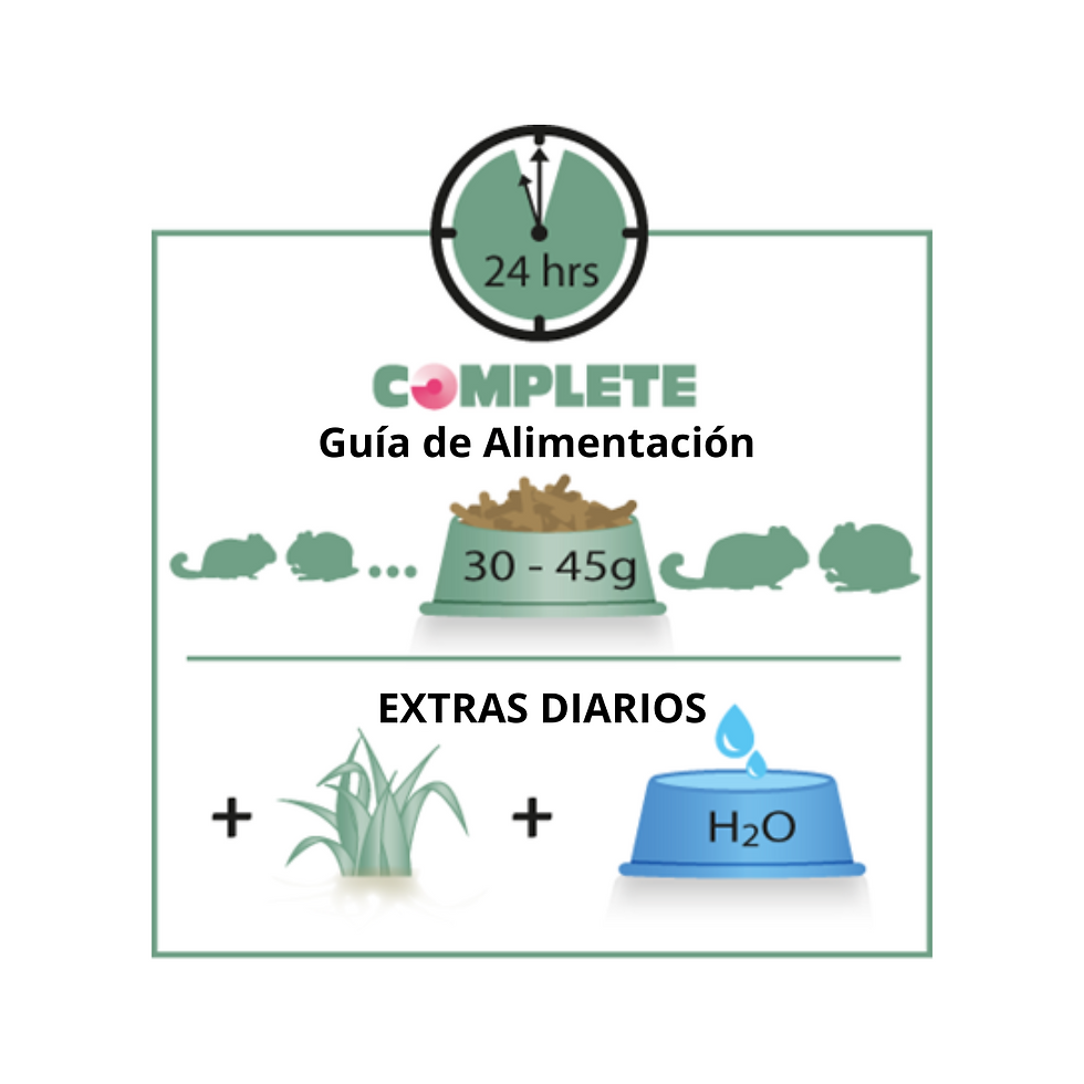 Miniatura: Versele-Laga Complete Chinchilla & Degu 500 gr.