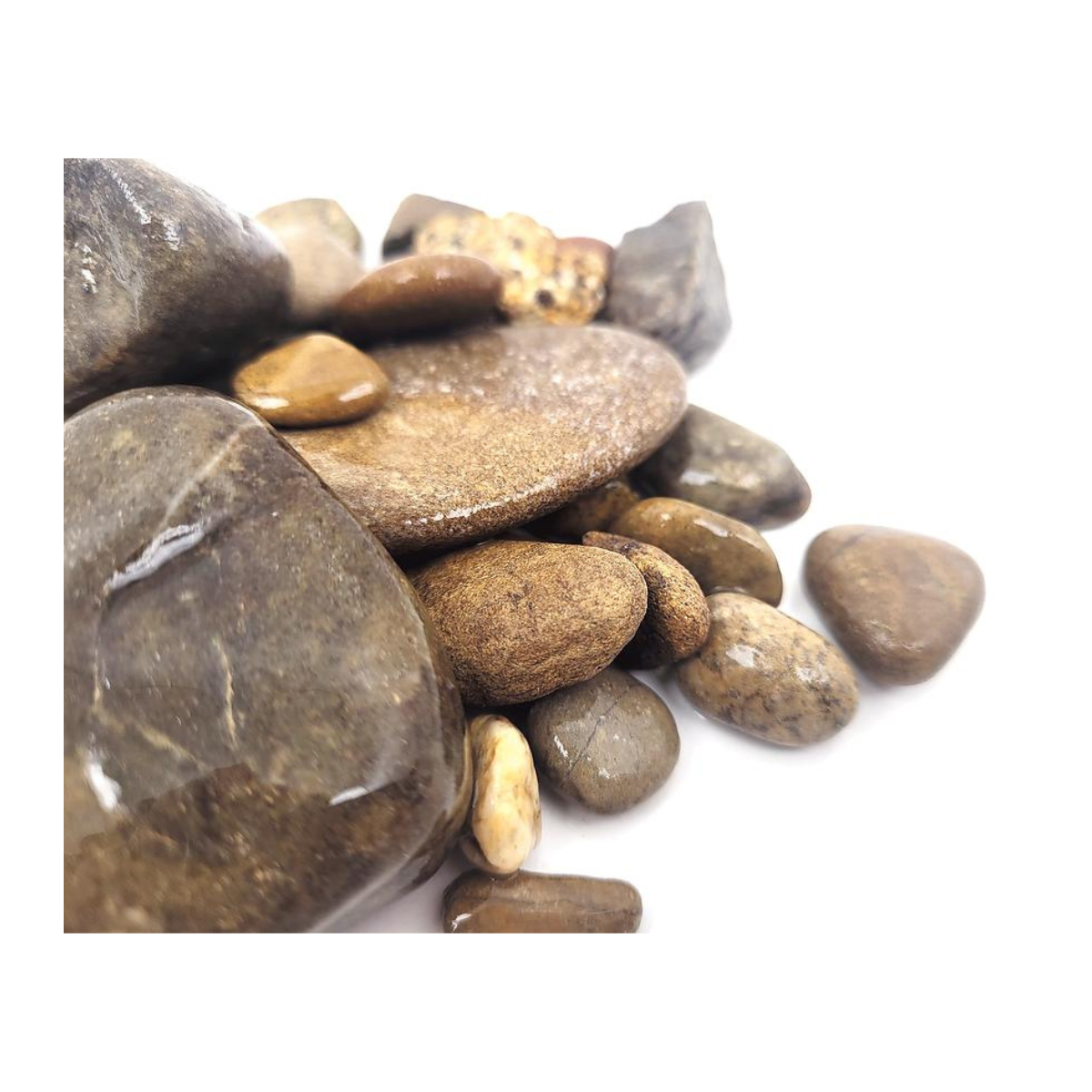 Wio Grava Elderly 2 kg.