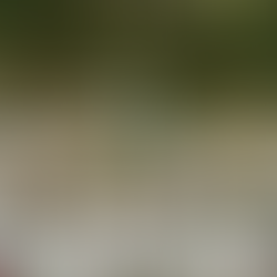 Luxury villa wedding ceremony surrounded by natural landscape