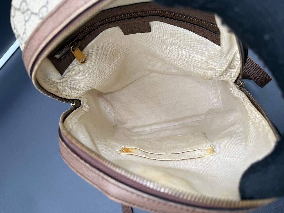 Thumbnail: Gucci Ophidia Backpack