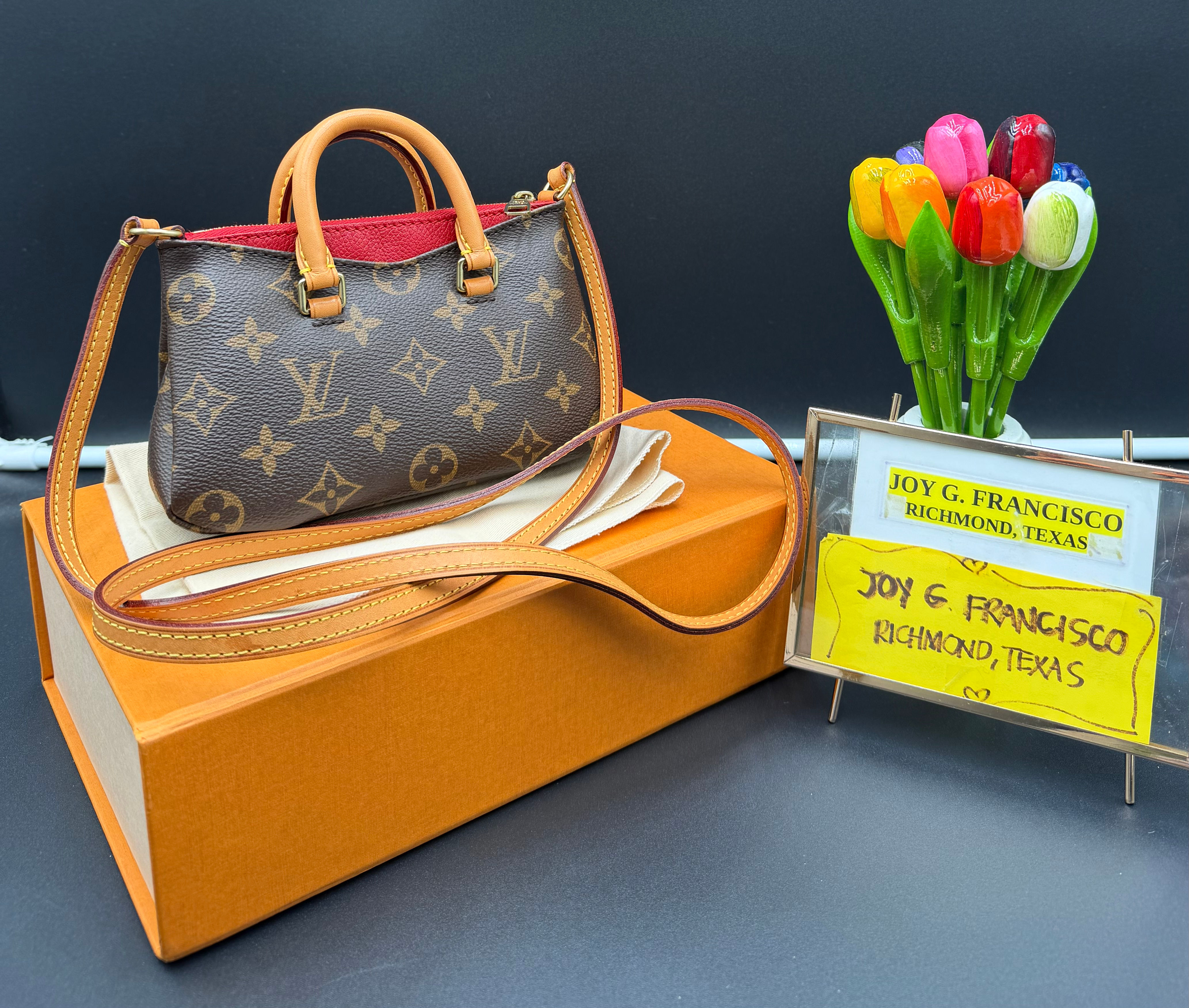 LV Monogram Pallas Nano