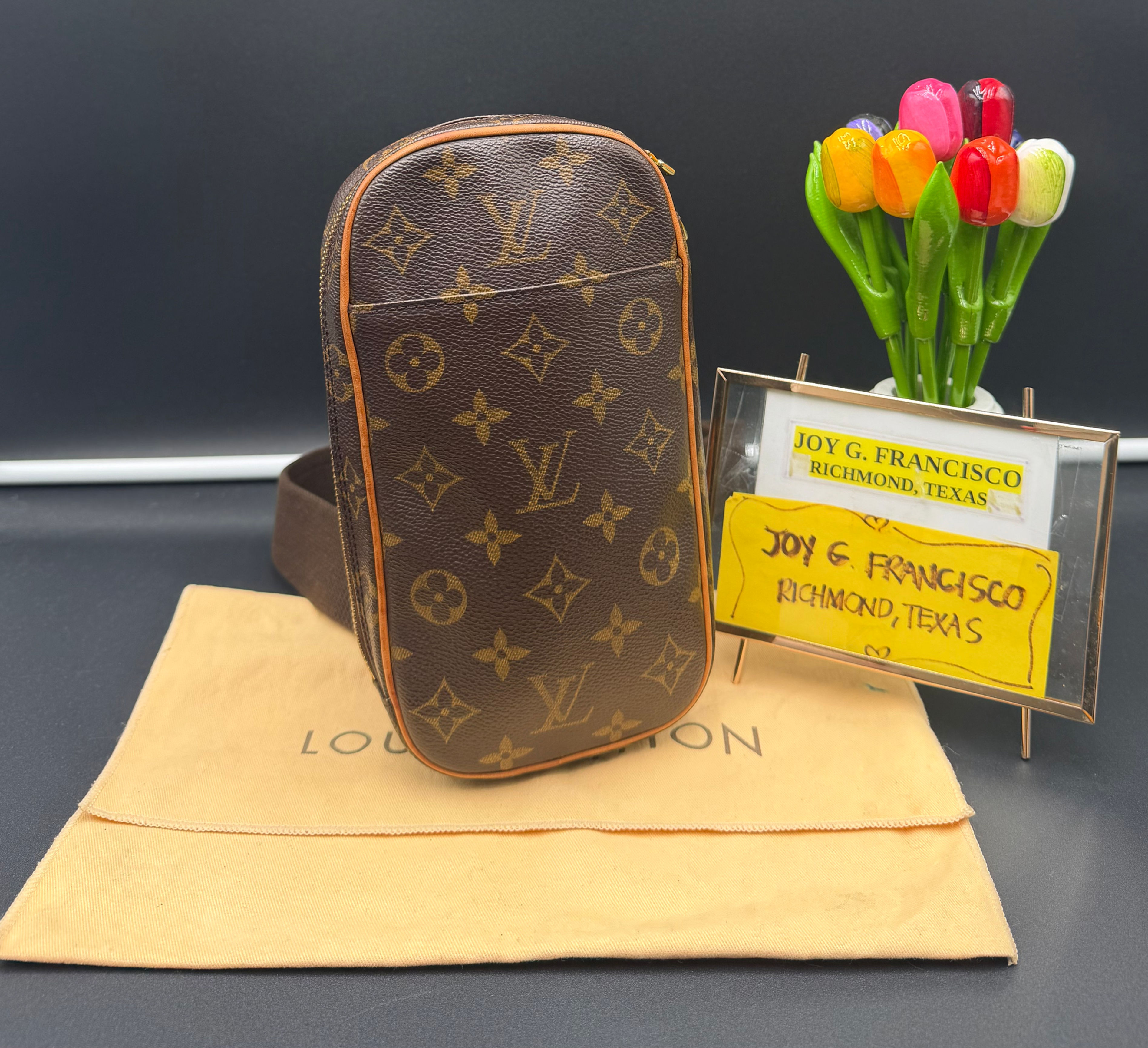 LV Monogram Pochette Gange