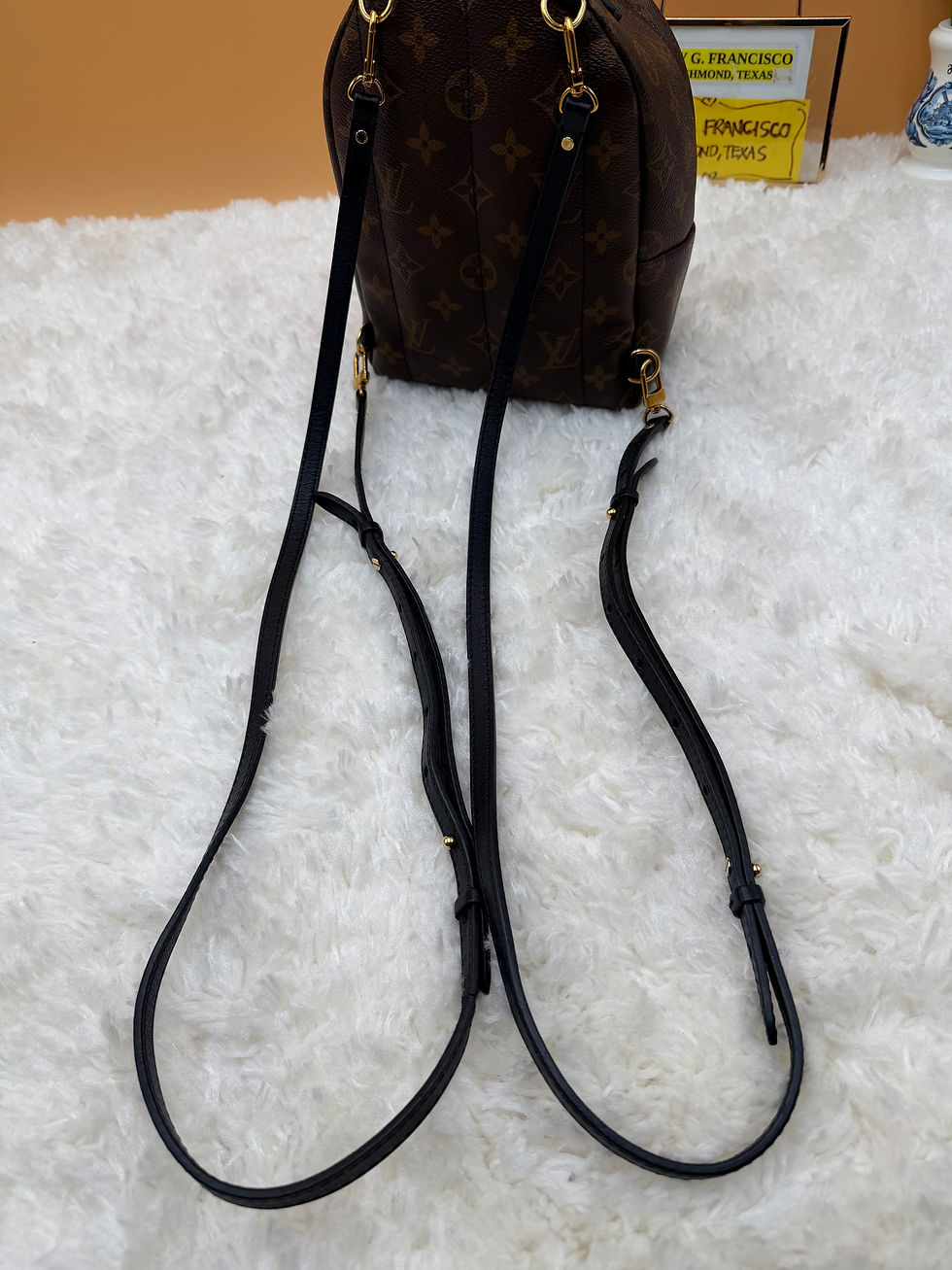 Thumbnail: LV Monogram Palm Springs Mini