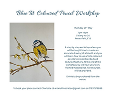 Blue Tit Coloured Pencil Drawing Workshop, Gallery no 30