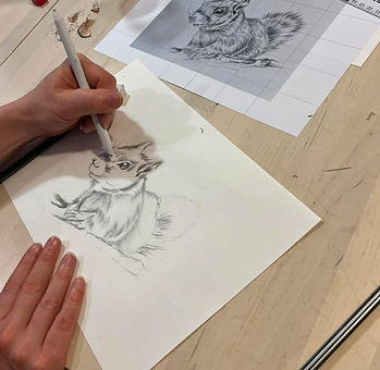 Drawing Class in Progress