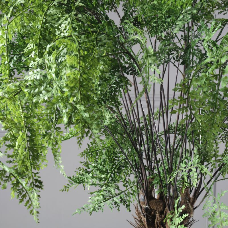 Thumbnail: ARTIFICIAL FERN TREE BONSAI 180 CM