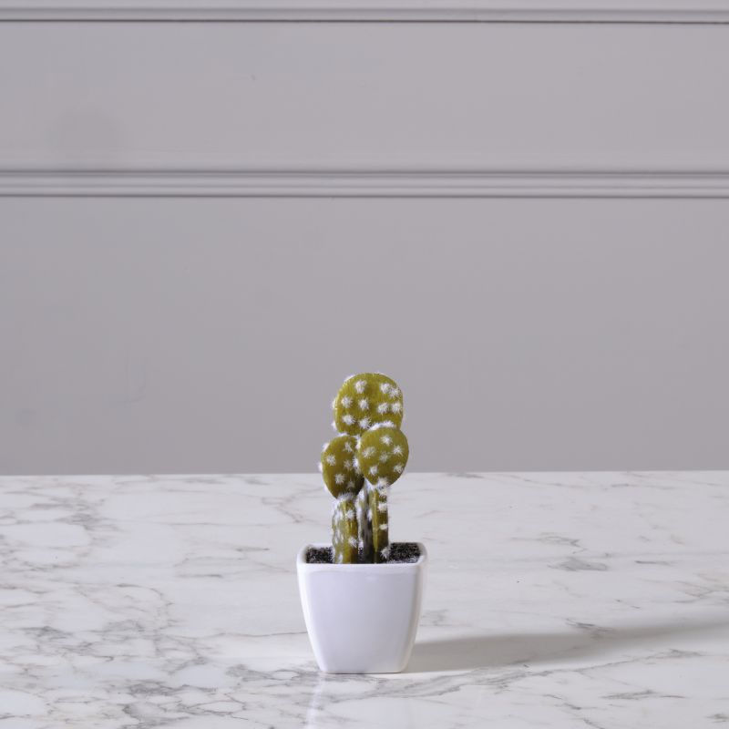 Thumbnail: ARTIFICIAL CACTUS PLANT ASSORTED 14 CM
