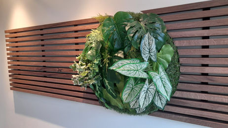 f286585b-972d-45ff-a8d9-a85039ccd779.jfif