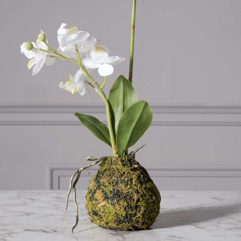 Thumbnail: ARTIFICIAL WHITE PHALAENOPSIS REAL TOUCH ORCHID PLANT WITH BULD MOSS POT 40 CM