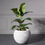 Thumbnail: PVC PLANTER IVORY CE 62X62X48 CM