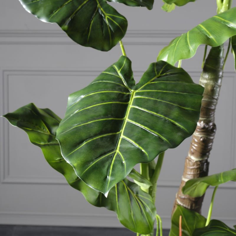 Thumbnail: ARTIFICIAL ALOCASIA ELEPHANT EARS TREE 180 CM