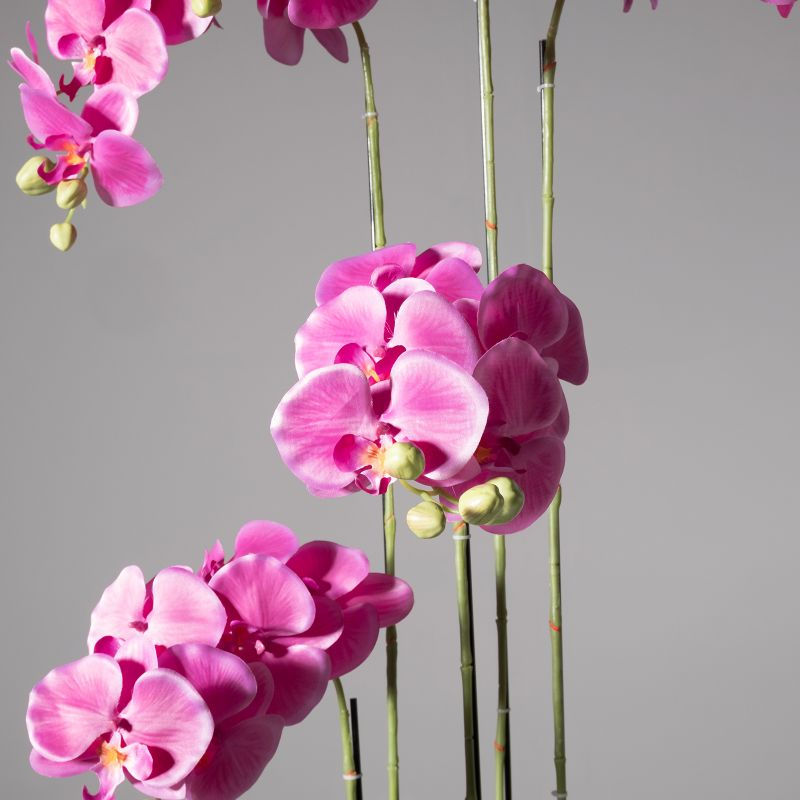 Thumbnail: ARTIFICIAL FUCHSIA PHALAENOPSIS REAL TOUCH ORCHID PLANT WITH MOSS POT 110 CM