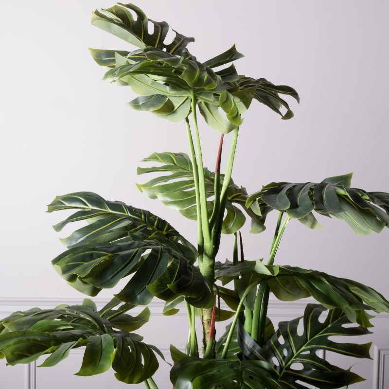 Thumbnail: ARTIFICIAL MONSTERA DELICIOSA TREE 180 CM