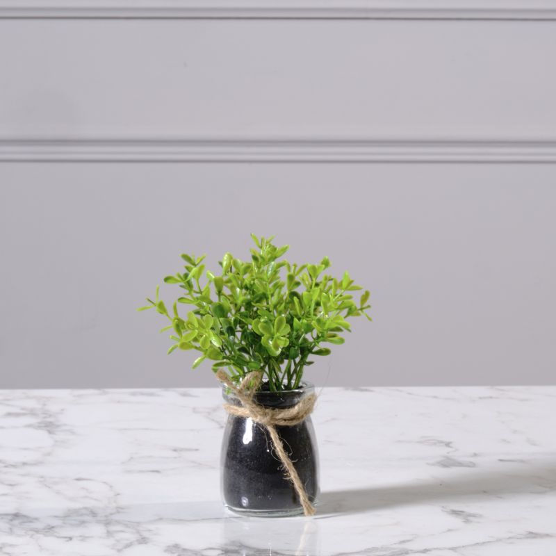 Thumbnail: ARTIFICIAL SUCCULENT PLANT ASSORTED 11 CM