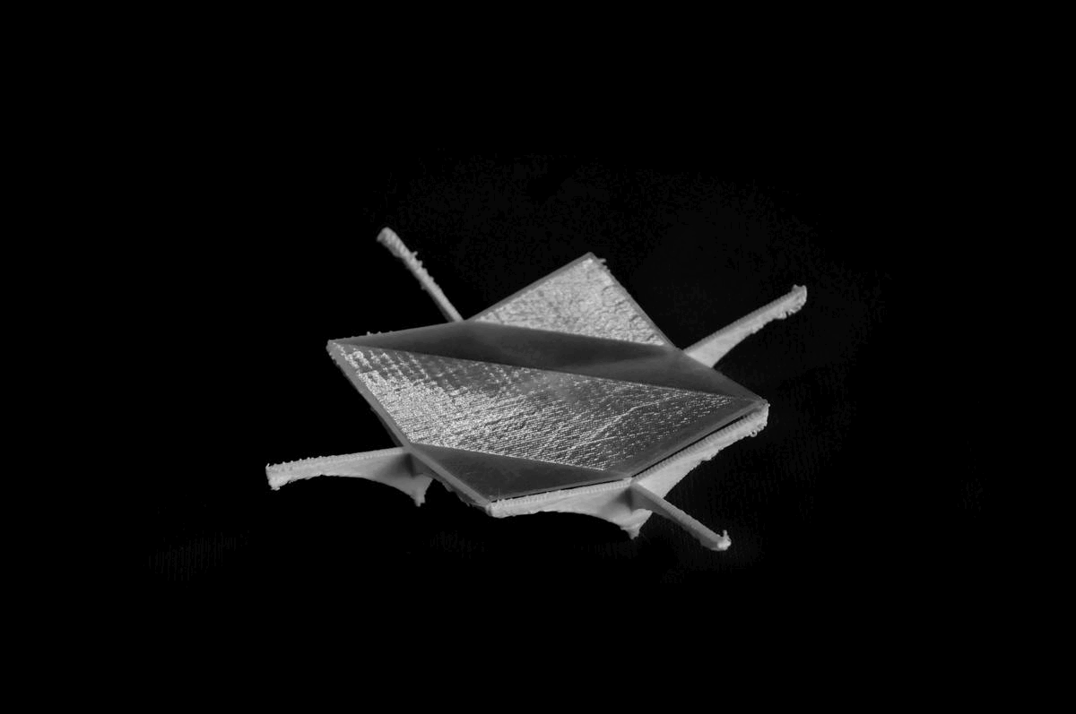 Timber Canopy Models