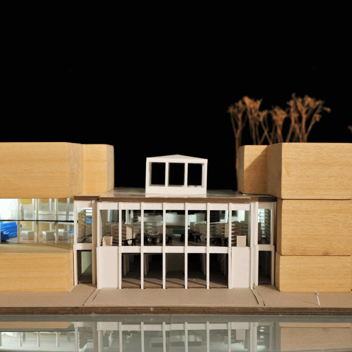 Interior Architecture Model