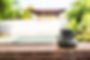 retreat-garden.jpg
