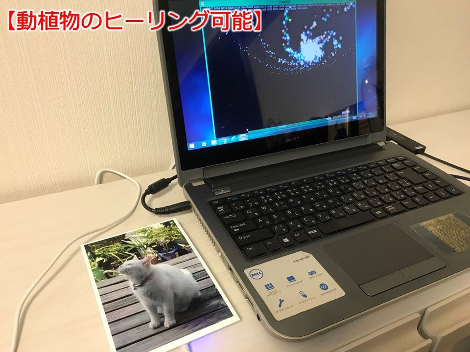 サムネイル： 数霊（かずたま）MINI-スペシャルver.-