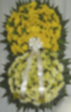 coroa AP