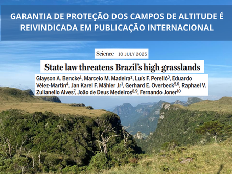Garantia de proteção dos Campos de Altitude é reivindicada em publicação internacional