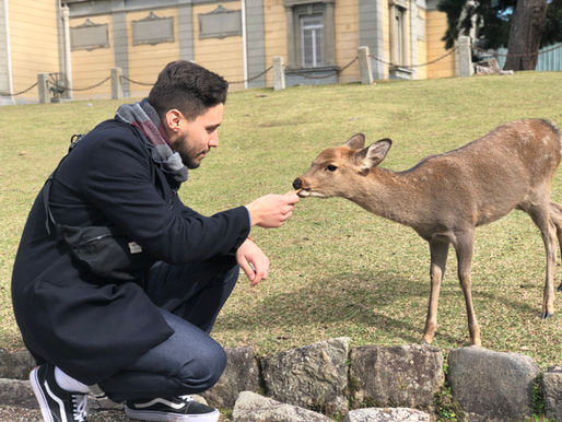 Nara Japan