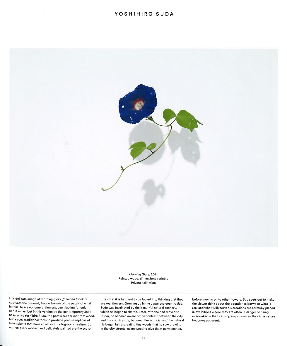 Morning Glory
