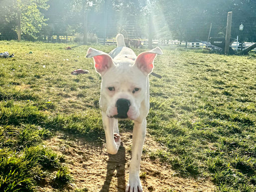 Buxton Searching for a New Home