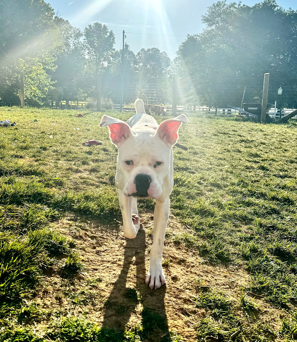 Buxton Searching for a New Home