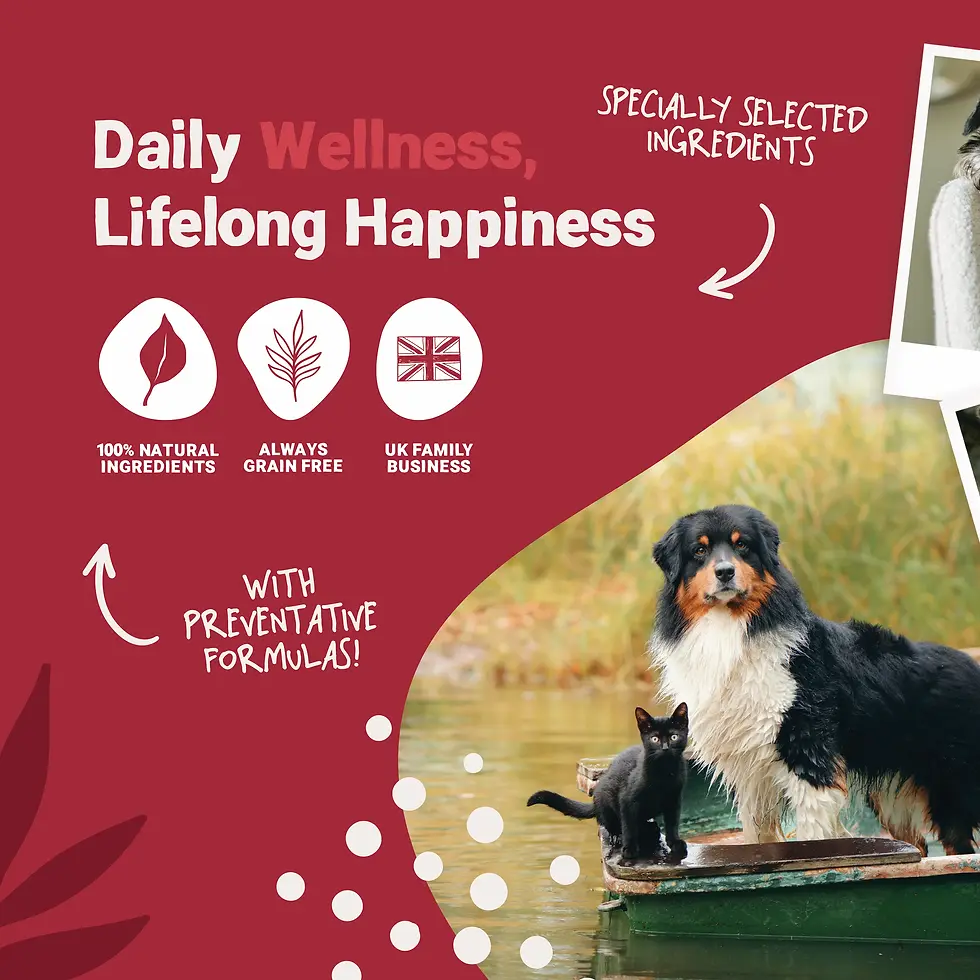 Thumbnail: Daily Joint Supplement