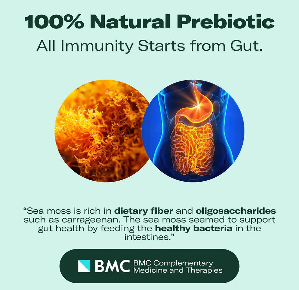 Thumbnail: SEA MOSS GEL - Powerful Natural Superfood