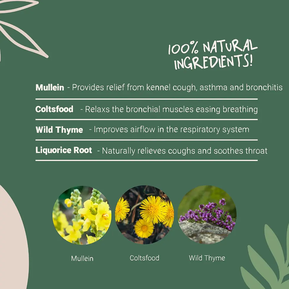 Thumbnail: Cough Drops