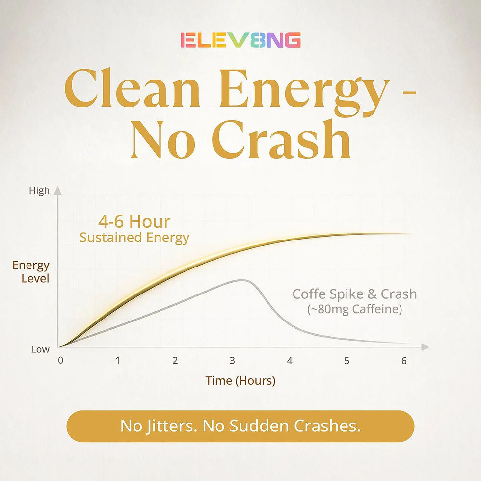 Thumbnail: Elev8ng Vegan Collagen Protein Shake - Vanilla / Hazelnut