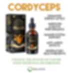 Thumbnail: Organic Cordyceps Tincture